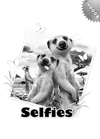ST937_indoor_meerkats_selfie_design__33677.1503518188.463.673.jpg
