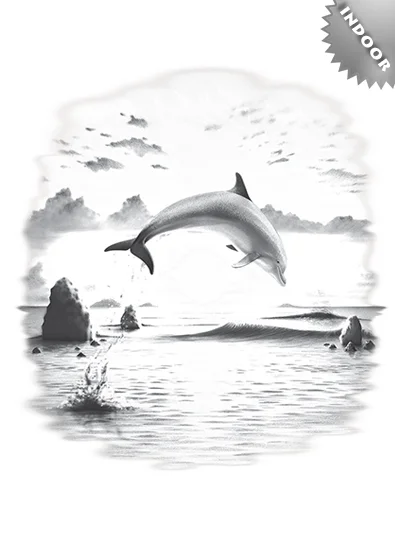 ST964_indoor_day_of_dolphin_design__87604.1503688364.463.673.jpg