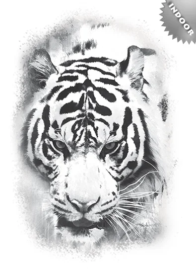 ST971_indoor_colorful_tiger_design__82455.1503695002.463.673.jpg