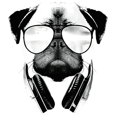 SC DJ Pug.gif