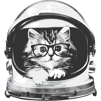 SC Space Kitten.gif