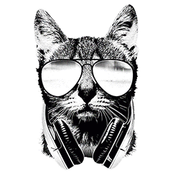 SC DJ Cat.gif
