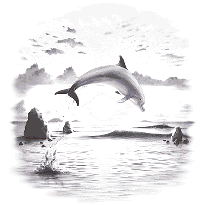 SC Day of the dolphin.gif