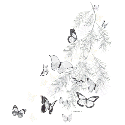 SC Butterfly shoulder.gif
