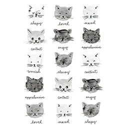 SC Moody Cats.gif