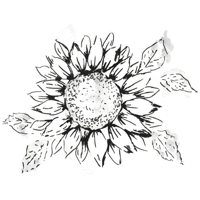 SC Solar Colorful Sunflower.gif