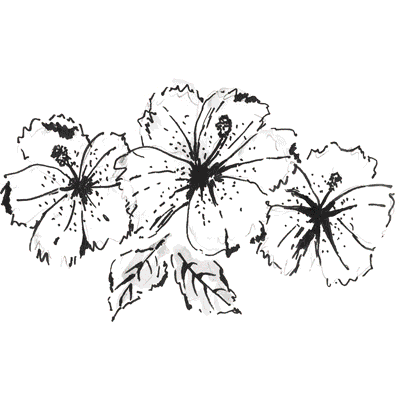 SC Solar Hibiscus Trio.gif