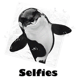 SC Whale Selfie.gif