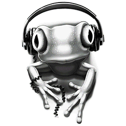 SC Frog Rock.gif