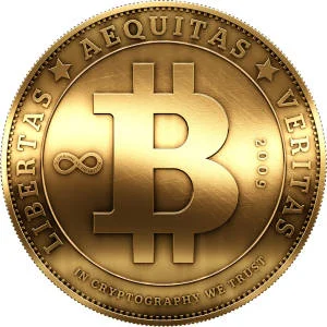 Bitcoin For Dummies - Bitcoin 101