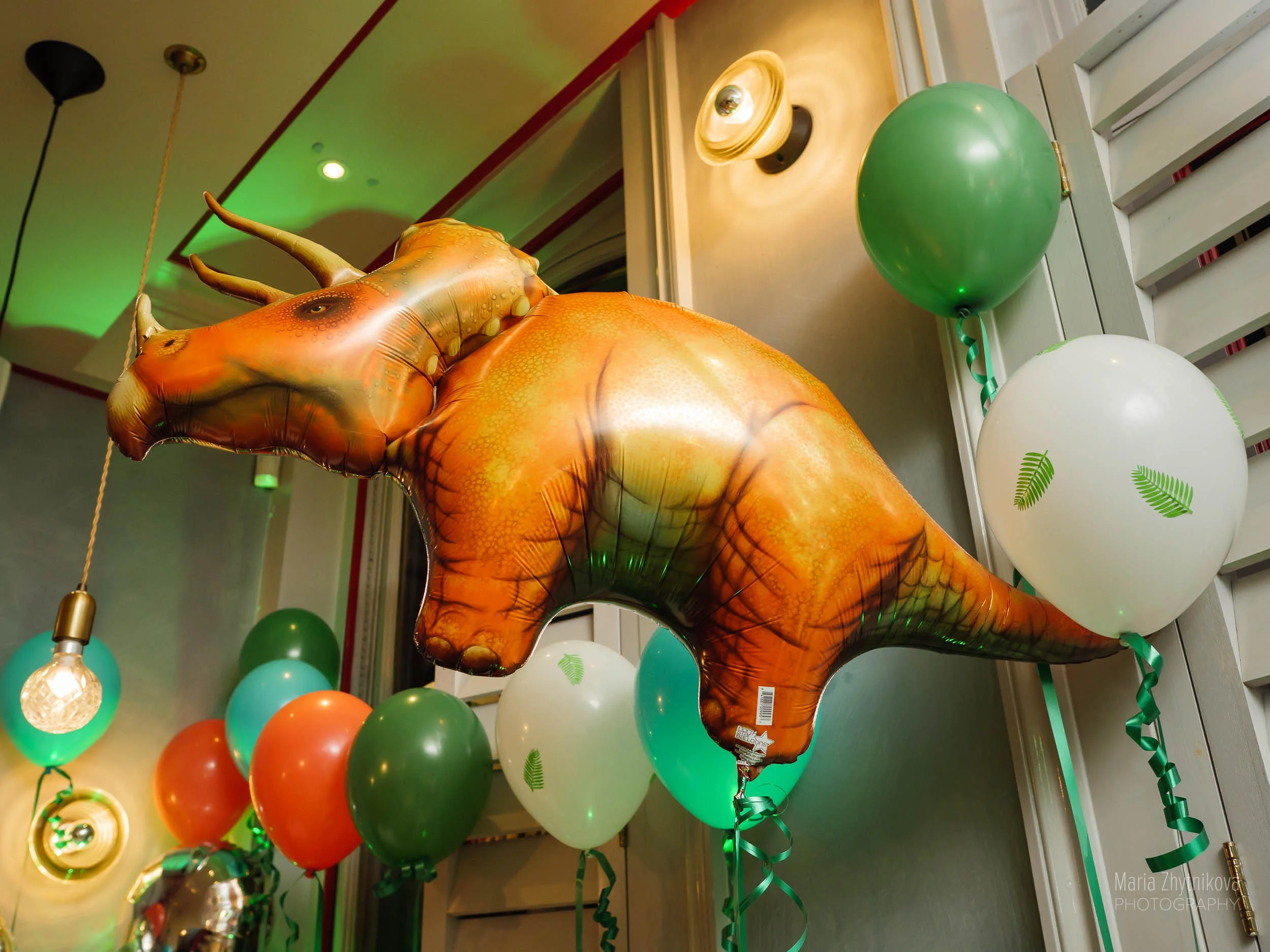 P2090994-low-web.jpg