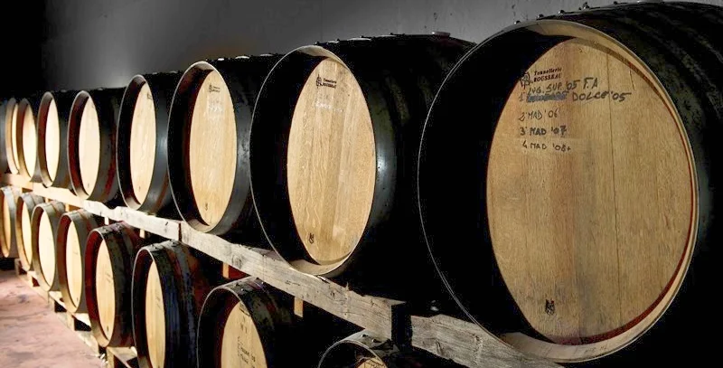 Emozionali_Cantina (1).jpg