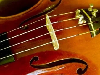 The Master's Concerts - Concerto in Cantina