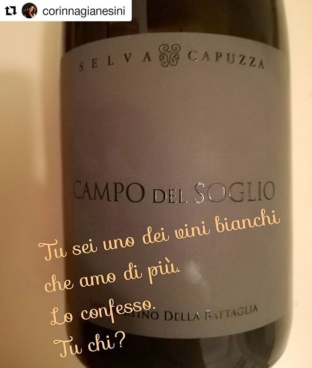 Grazie di cuore a @corinnagianesini per questa meravigliosa dichiarazione d'amore per il nostro San Martino della Battaglia!
.
Ti aspettiamo in cantina!
.
#selvacapuzza #sanmartinodellabattaglia #vinoitaliano #instawine #luganalover #ais #vino #wine 