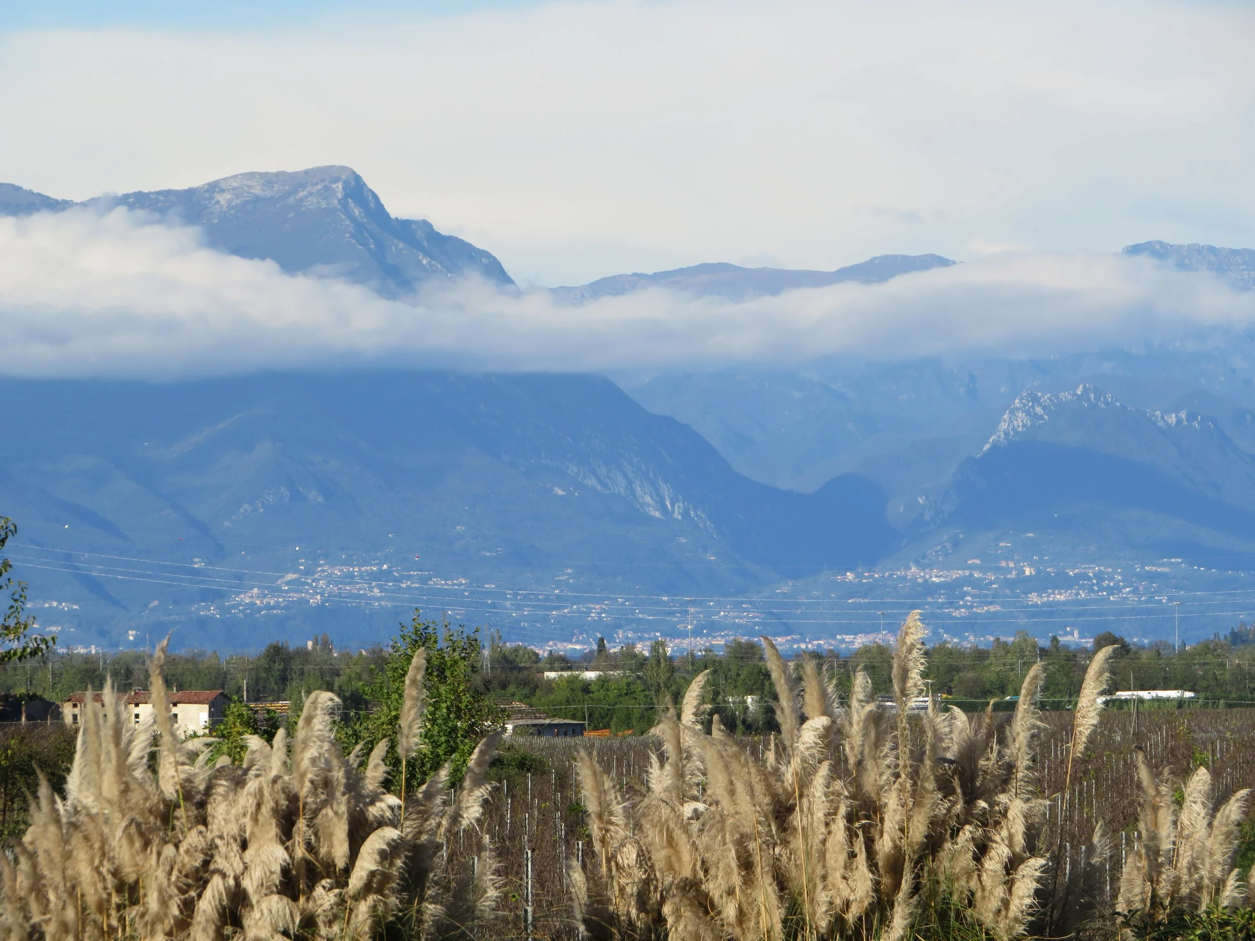 Newsletter November 2025