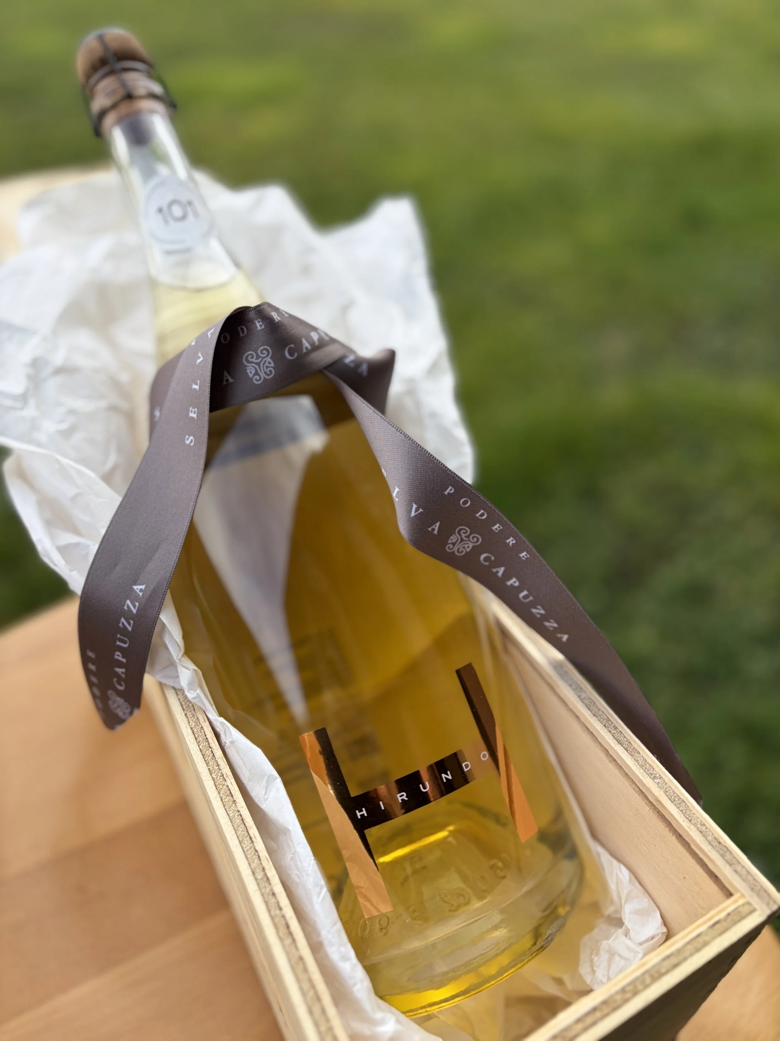 Newsletter February 2026