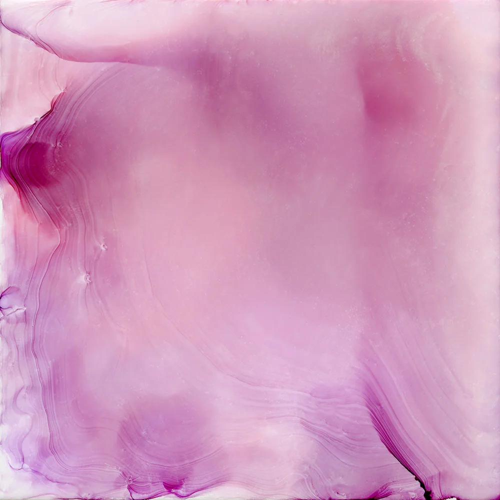 orchid - 20x20 inch painting on metal