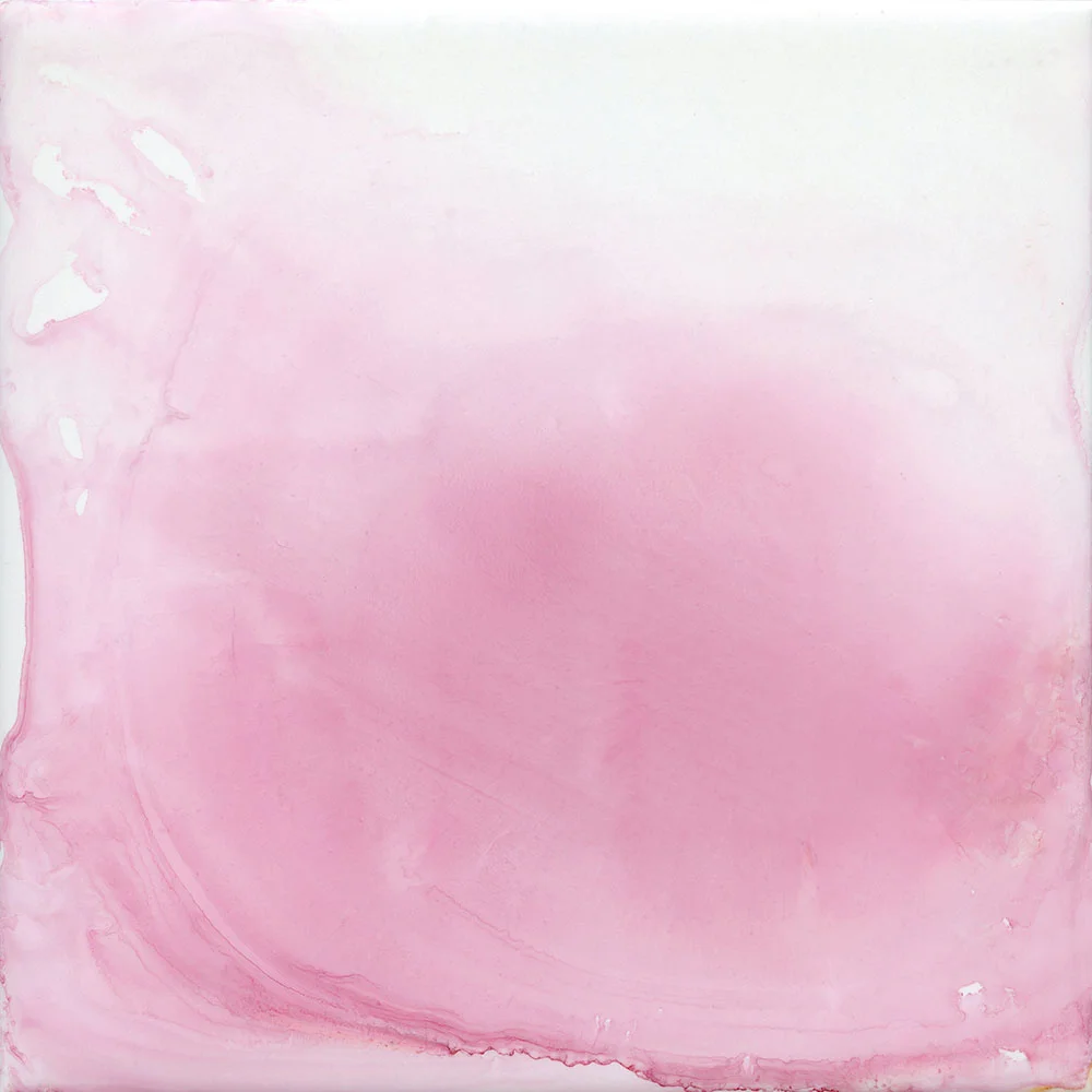 rosy haze - 20x20 inch painting on metal