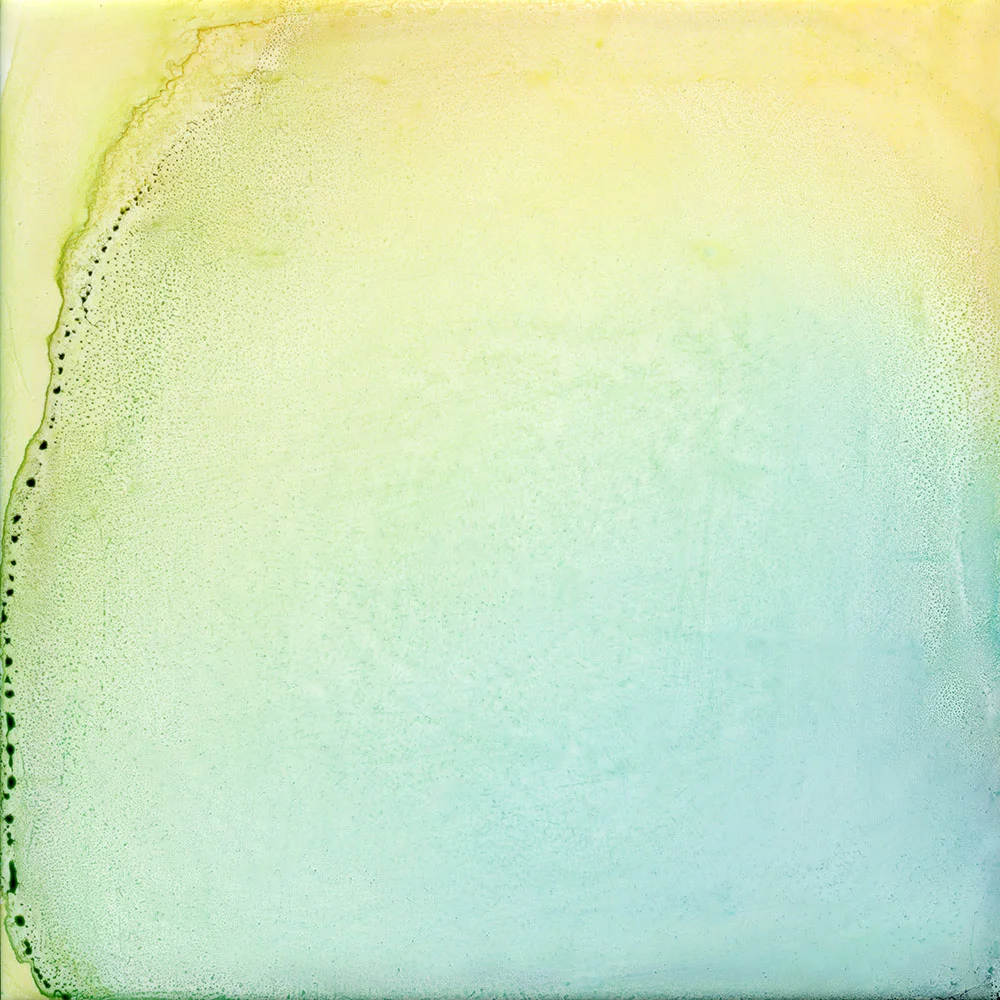 oasis - 20x20 inch painting on metal