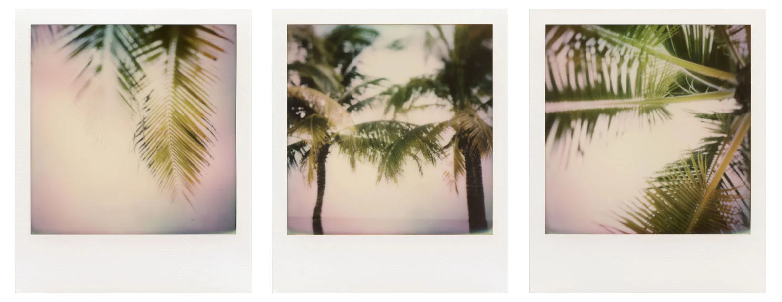 Polaroids on metal 20x24 inch - set of 3