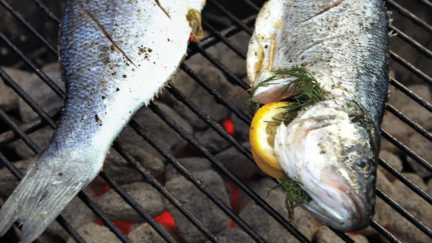 grilled-fish-6-mld110112_horiz.jpg