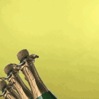 giphy (2).gif