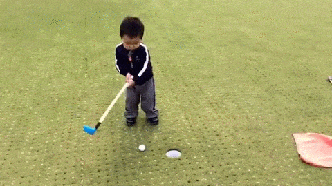 giphy (26).gif