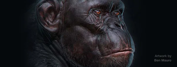 Animal: A Special Gallery Show and Weekend Event