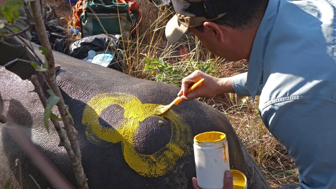  Working with AWARE in Zimbabwe 