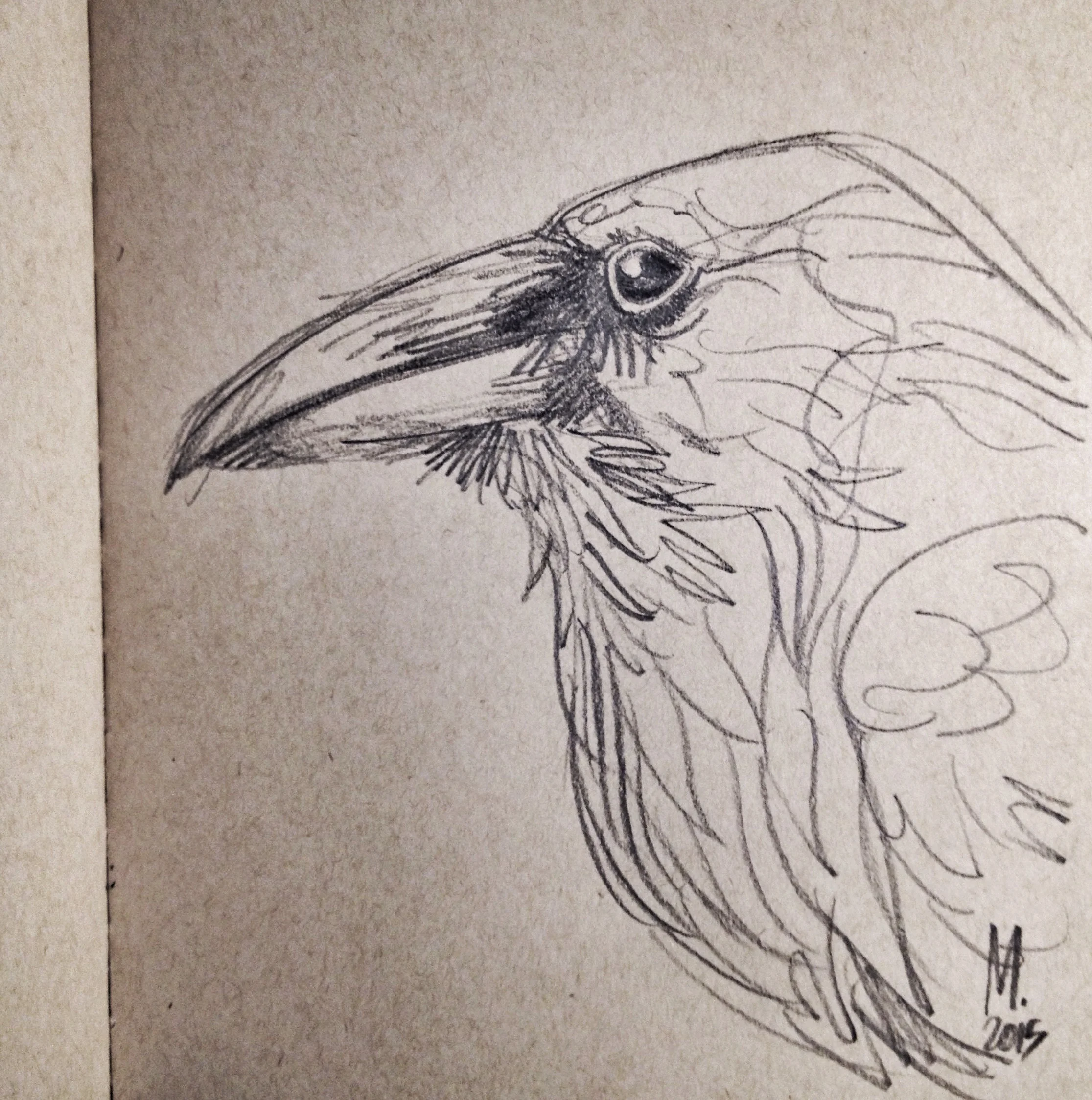 Blackbird with blackwing.