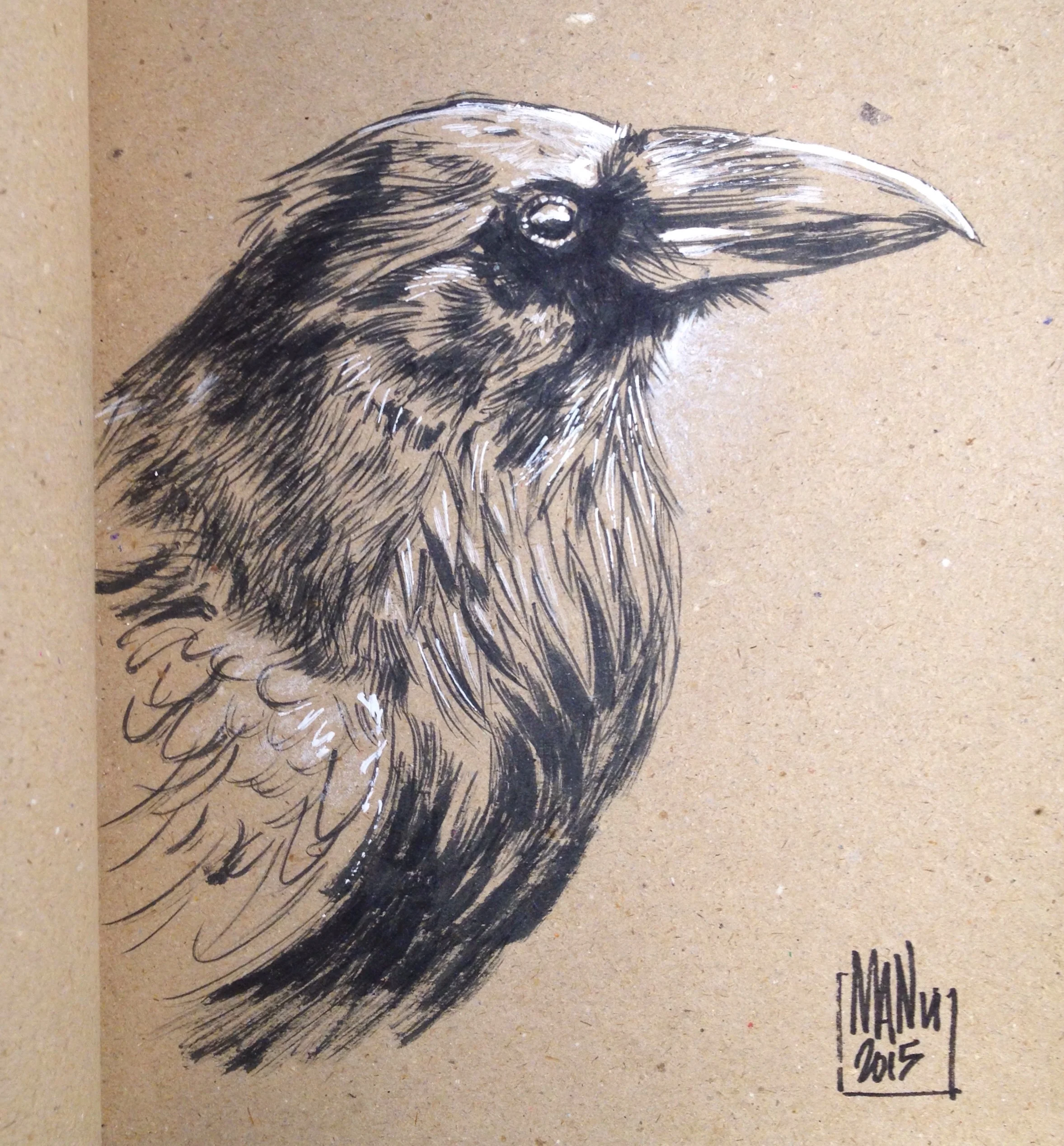 Brush sketch