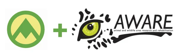 Not sure how you can help? Email us at info@expeditionart.org