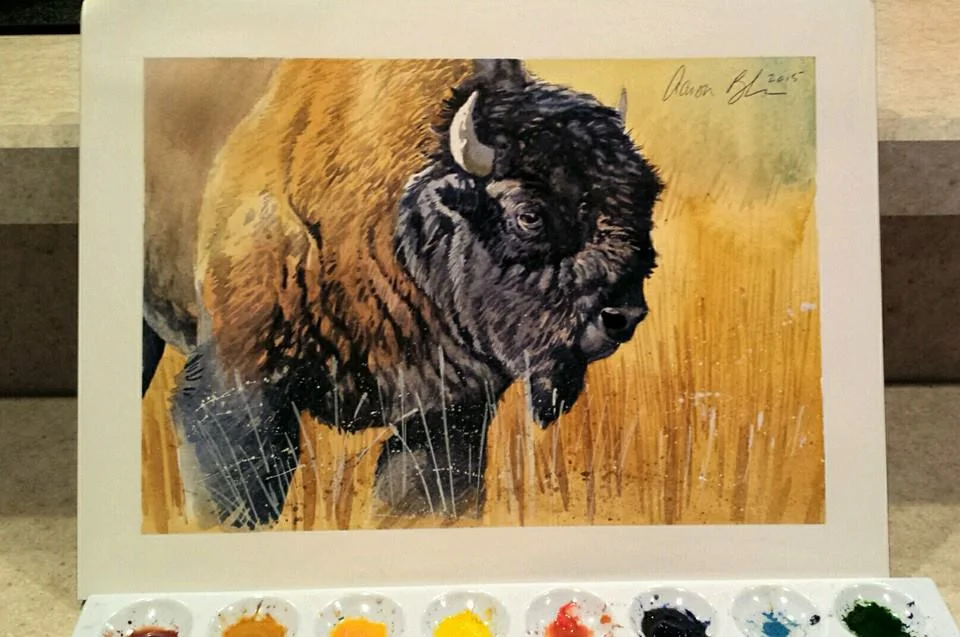 Jackson Hole, WY bison art from Aaron Blaise