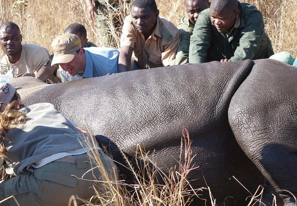 Working in Zimbabwe with the Aware Trust, Rhino Ops