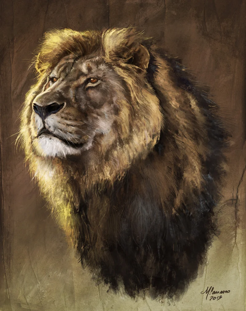 Lions and a New Pride Member on the Team