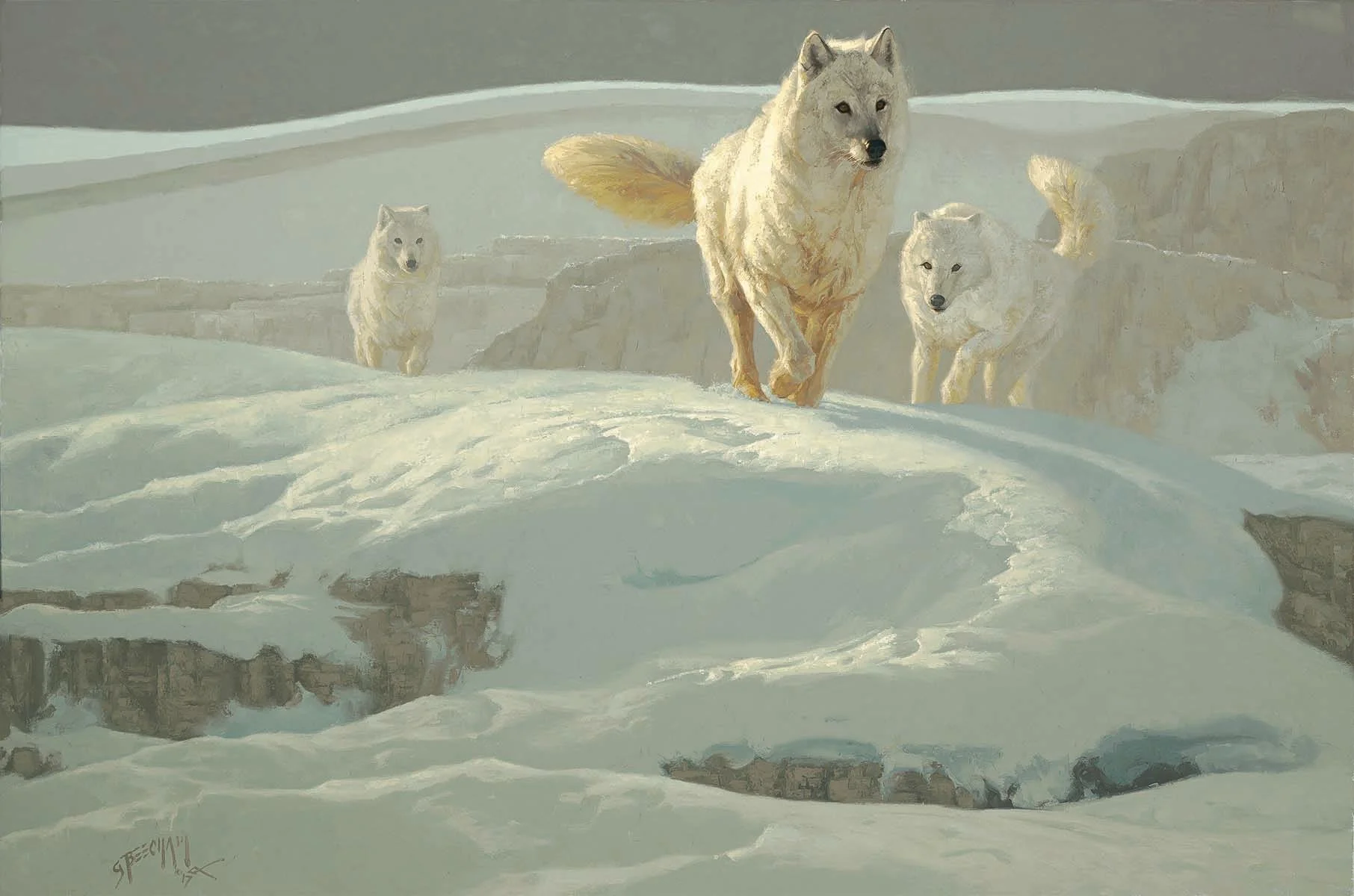 Meeting an Inspiration Out West. 