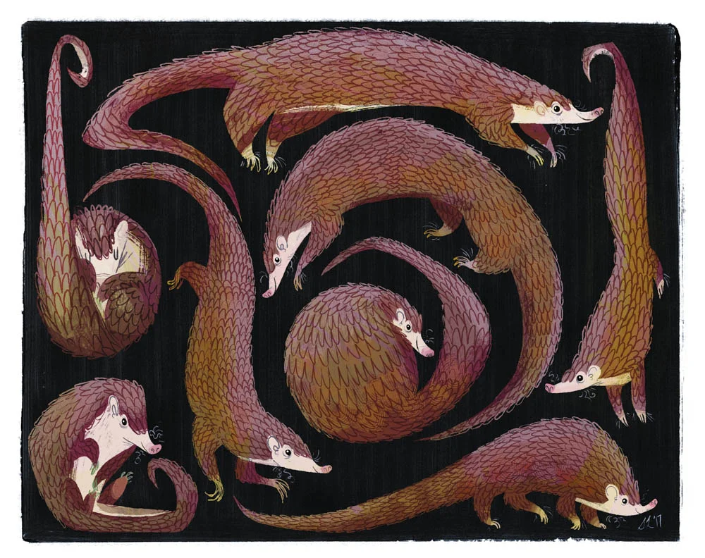 Steph Laberis - Pangolins