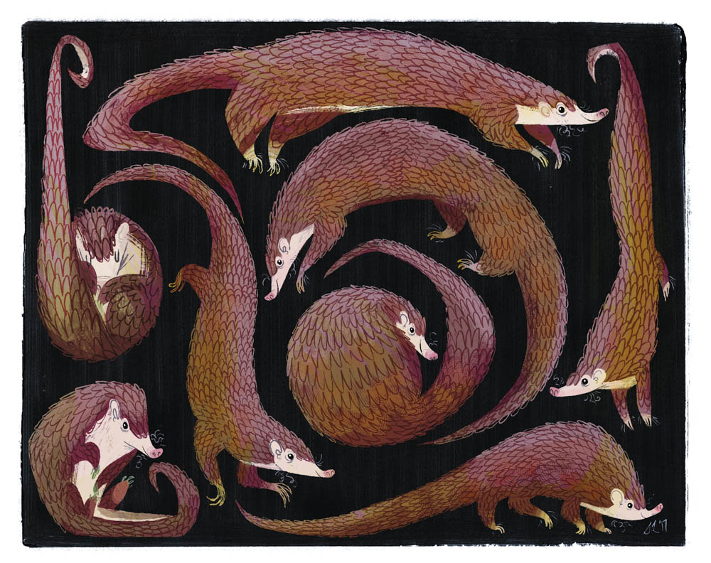 Steph Laberis - Pangolins