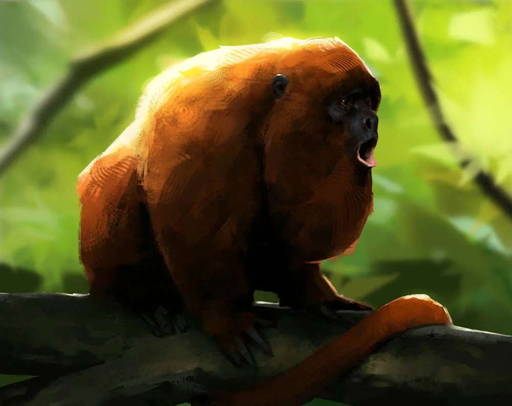 Borislav Mitkov - Howler Monkey