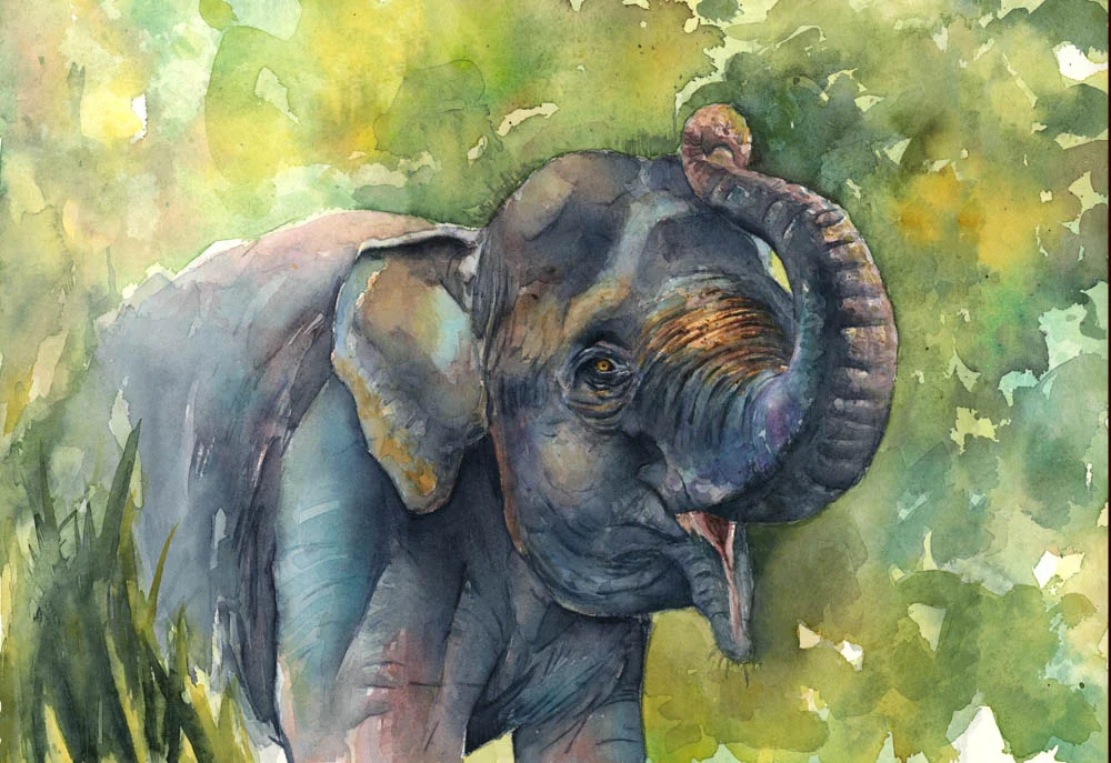 Charity Oetgen - Sumatran Elephant