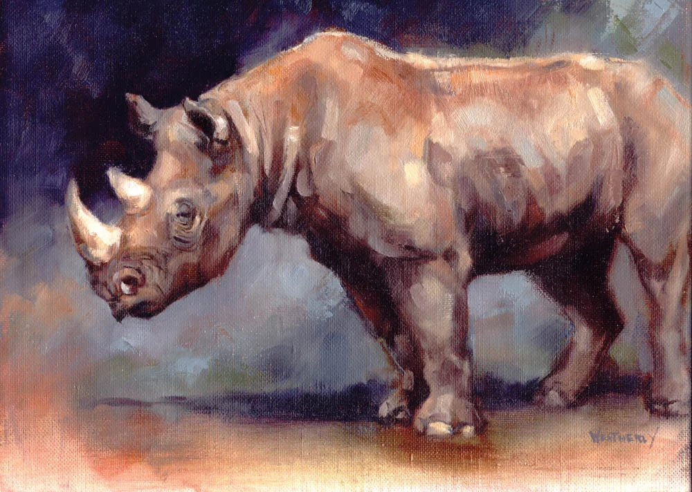 Joe Weatherly - Black Rhino