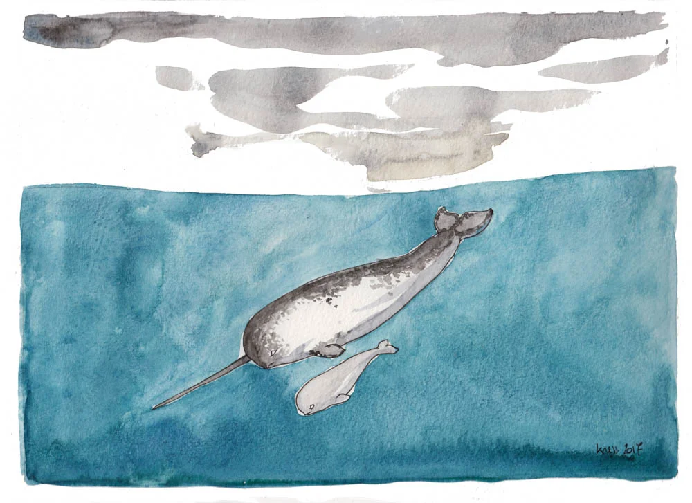 Karine Forestié - Narwhal
