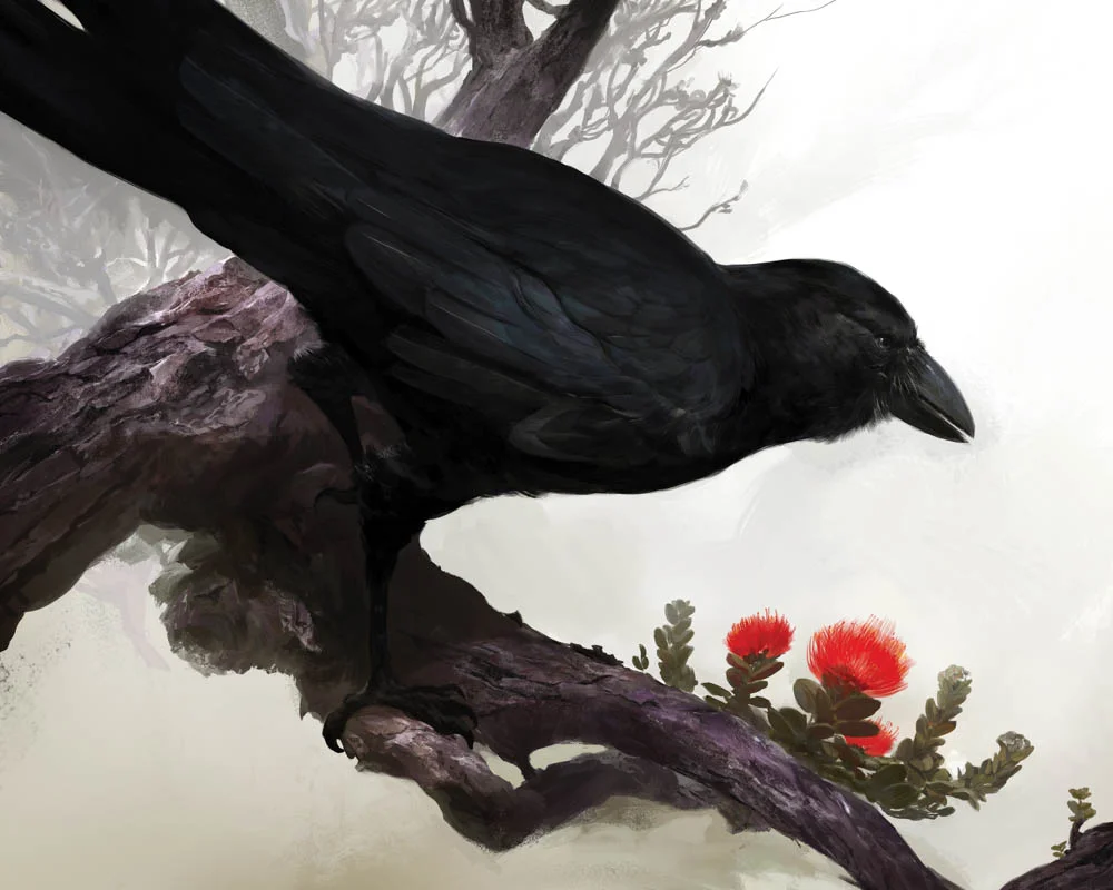 Kekai Kotaki - Hawaiin Crow
