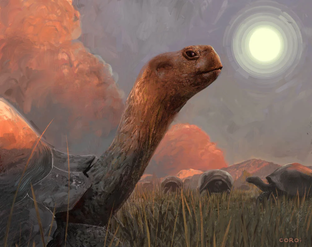 "Giant Tortoises at Dusk" by Justin Kaufman (digital)