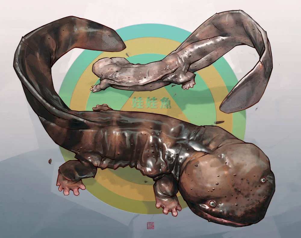 "Chinese Giant Salamander" by Thierry Doizon (digital : Oculus Medium + Photoshop)