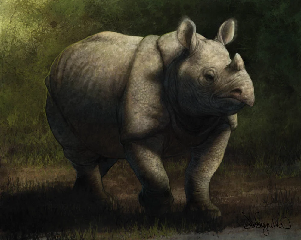 "Sunda Rhinocerous" by Don Seegmiller (digital)
