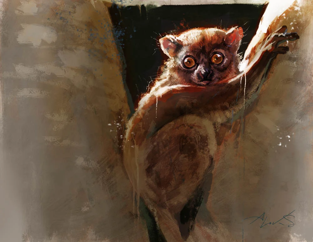 "Northern Sportive Lemur” by Aleksi Briclot (Traditional & Digital)