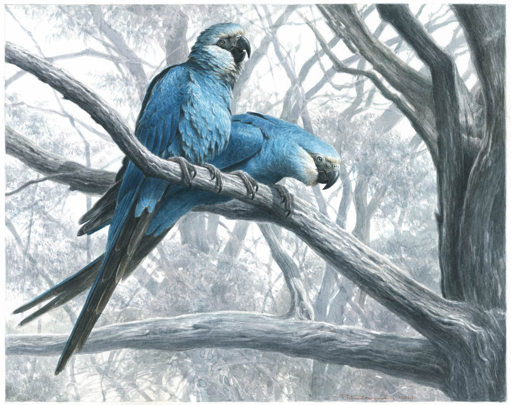 "The Fading Blue" by Paschalis Dougalis (watercolors on Lana cold-pressed paper)