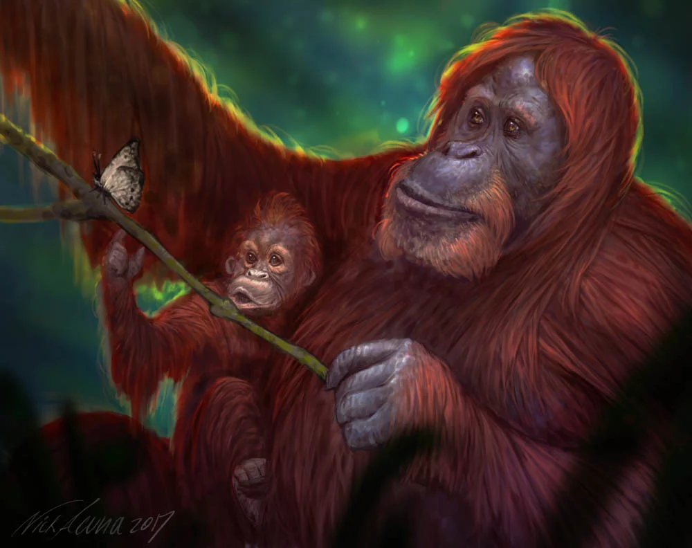 "Curiosity, Beauty and Hope" by Nick Acuna (Digital)