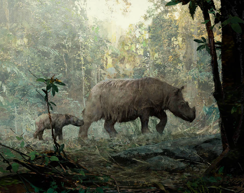 "Dicerorhinus Sumatrensis" by A.J. Trahan (digital)